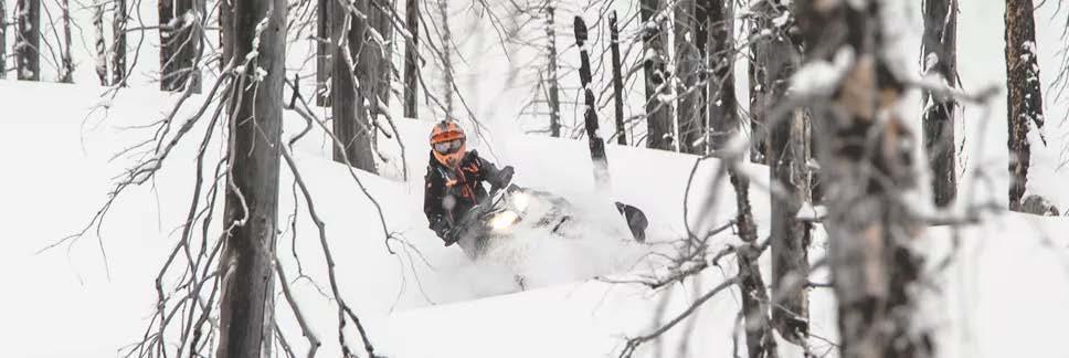 SNOWMOBILE & ATV PARTS