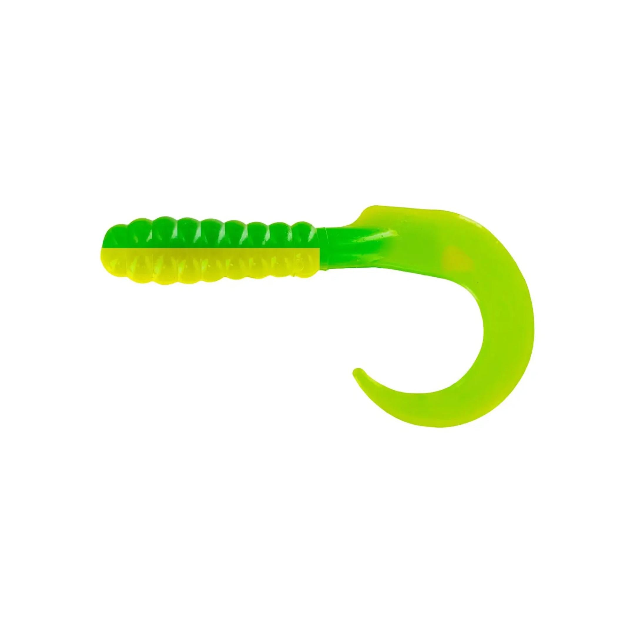 Curl Tail Grub