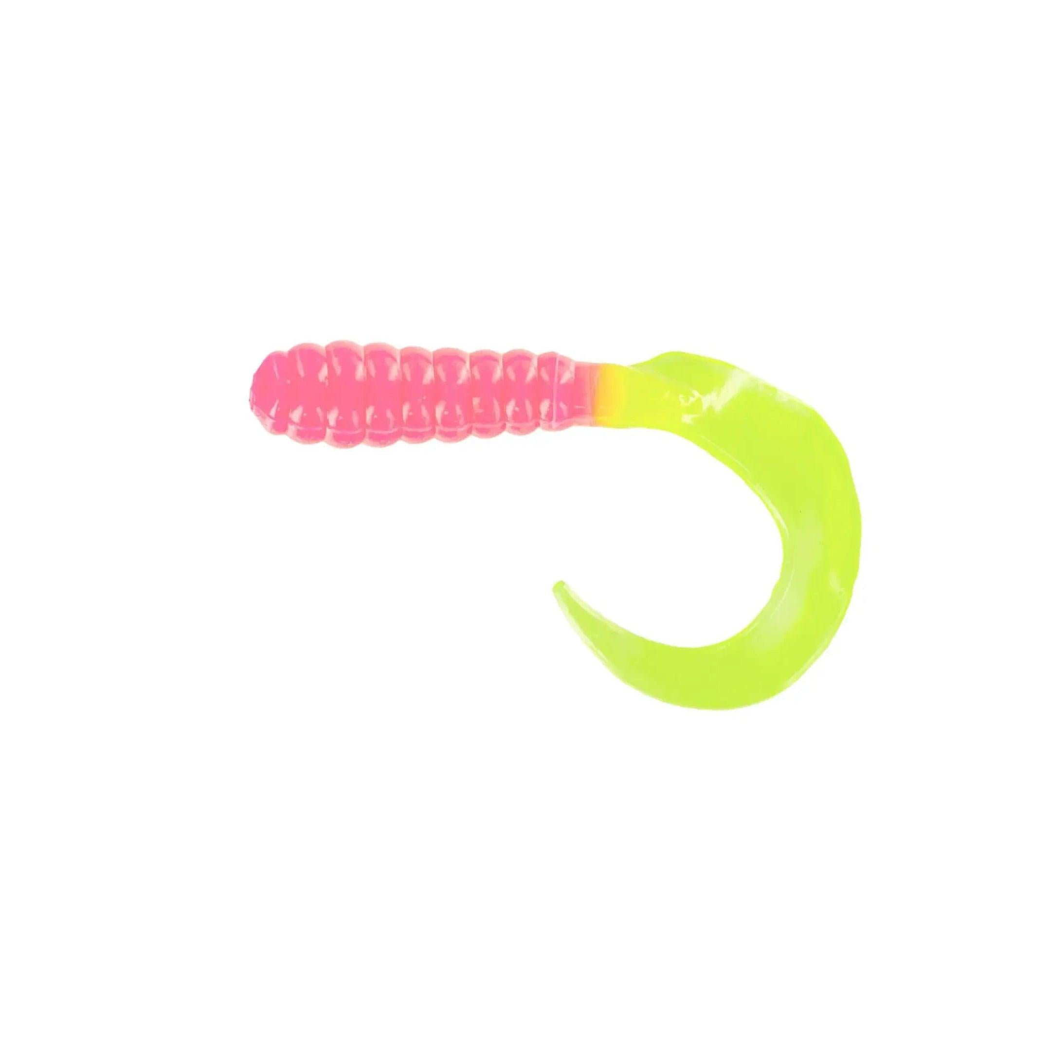 Curl Tail Grub