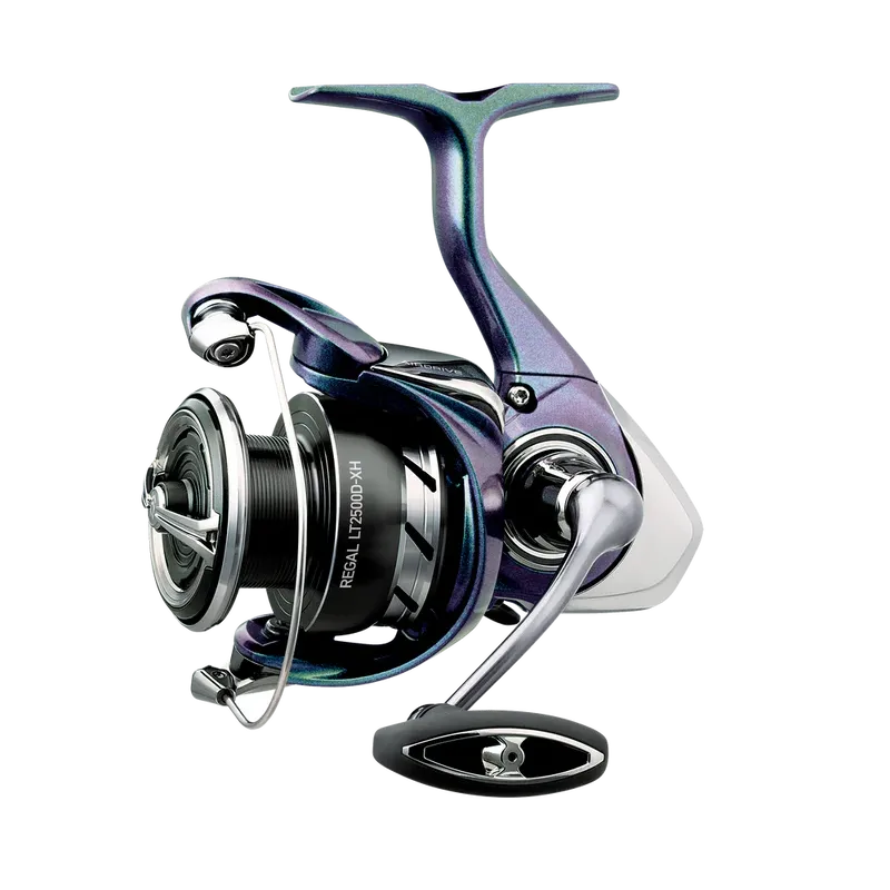 Regal 2000 LT Spinning Wheel, 6BB+1, 6.2:1