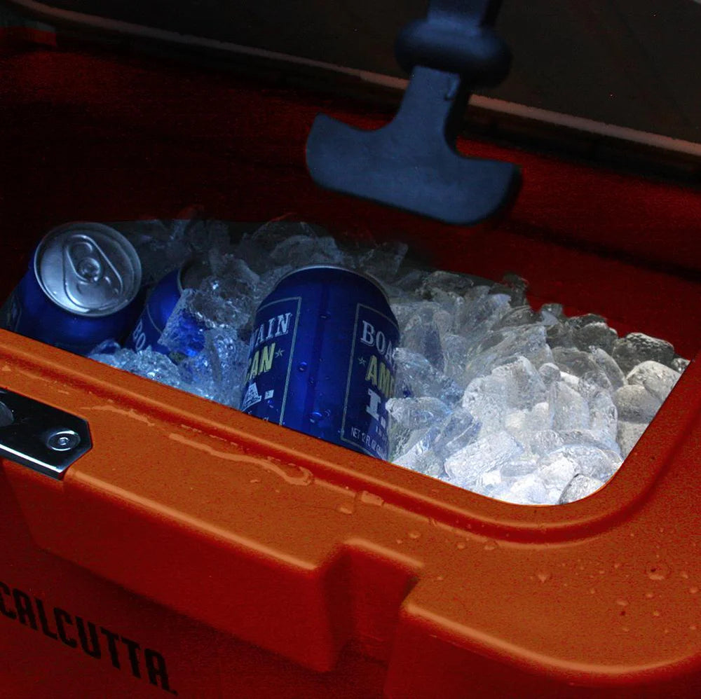 Renegade Cooler 20 Liter w/LED Drain Plug, SS Carry Handle, 20.9"L x 12.4"W x 13.8"H