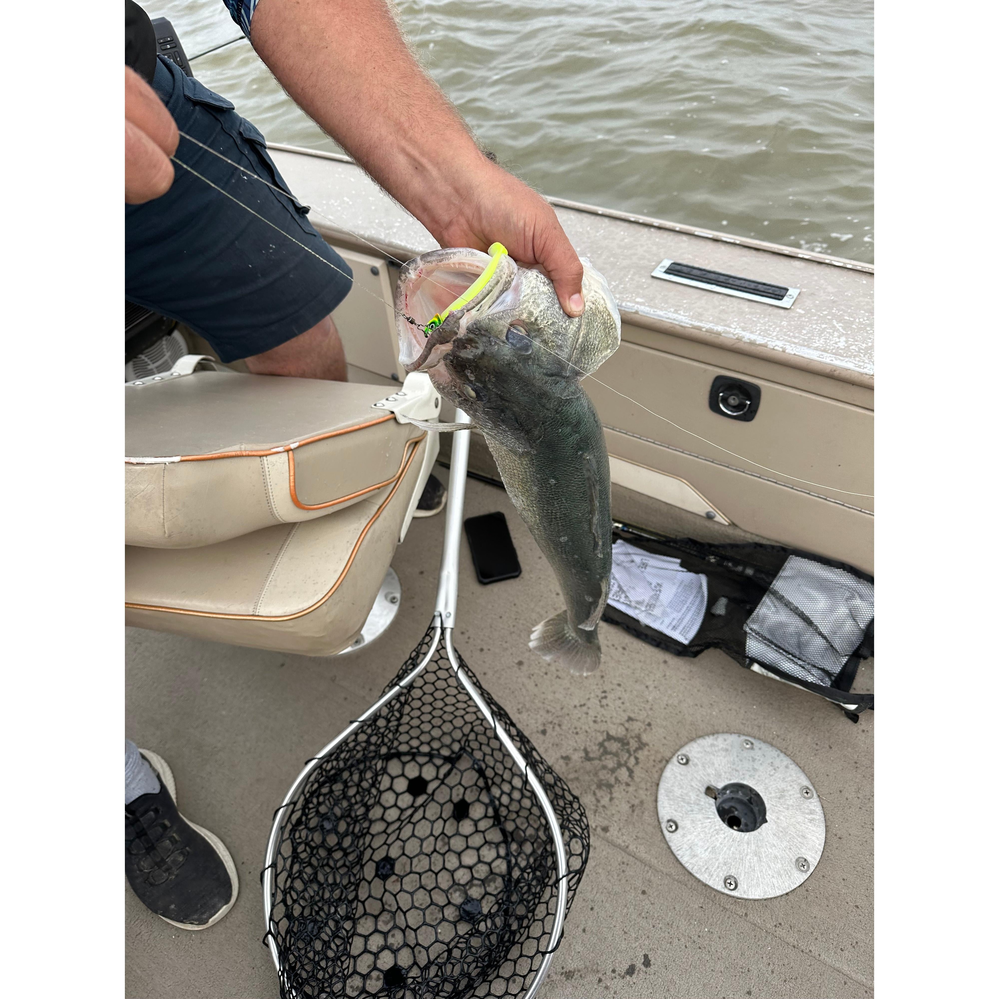 SOLD 1996 LUND PRO-V w/ 150 HP EVINRUDE SOLD