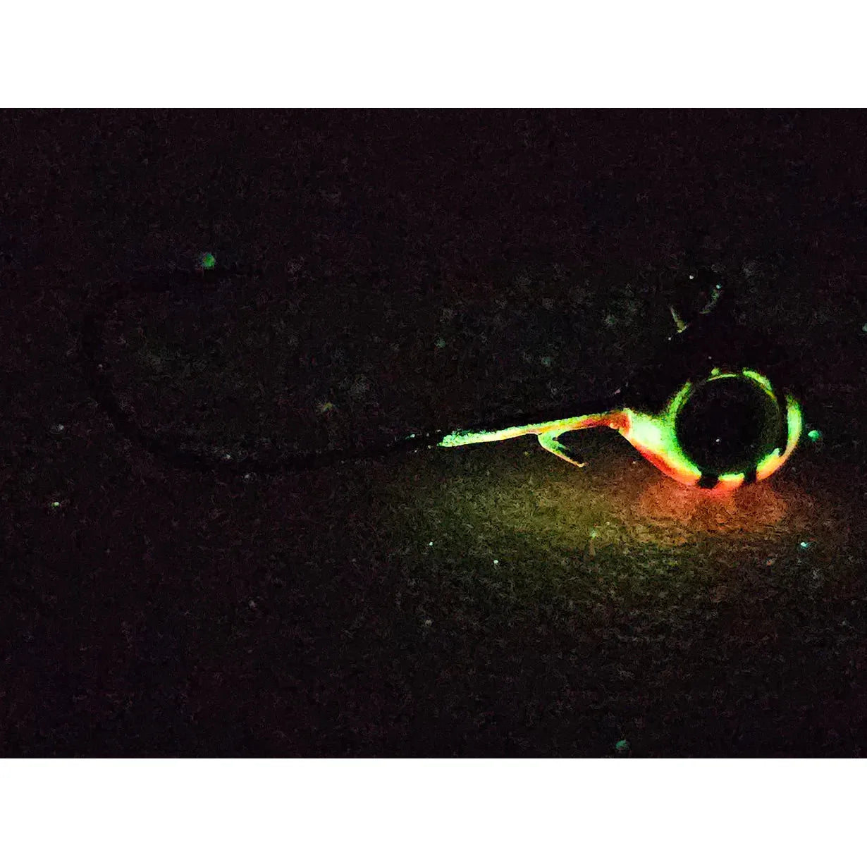 Walleye Hawgerz OMEGA GLOW “SPECIALS” Long Shank Jig- (3 PACK)