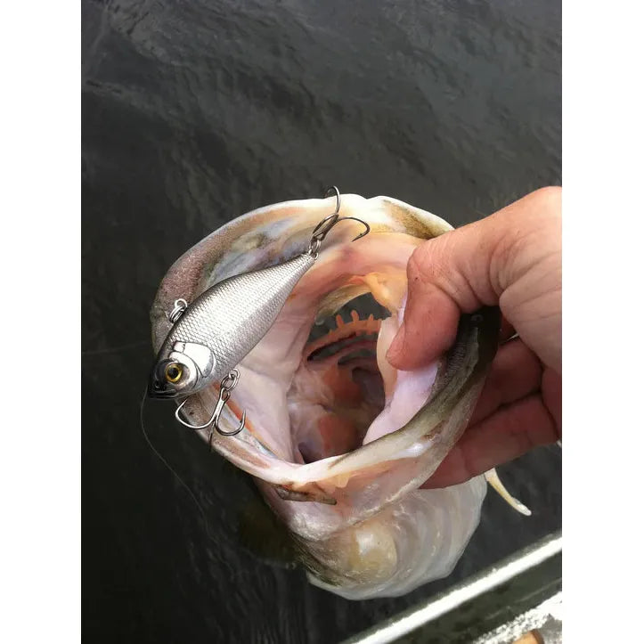 Fillet