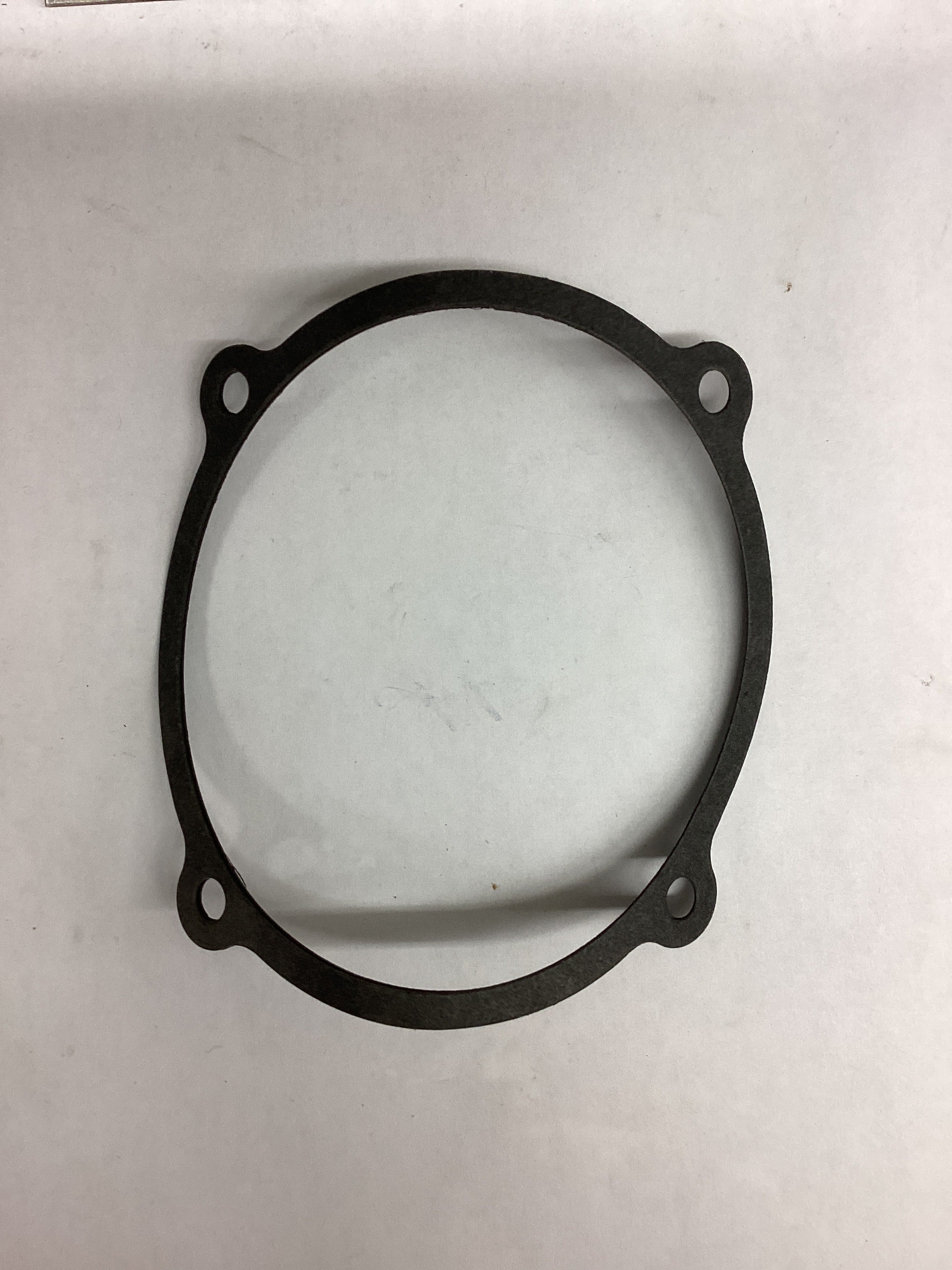 GASKET P/N 308799
