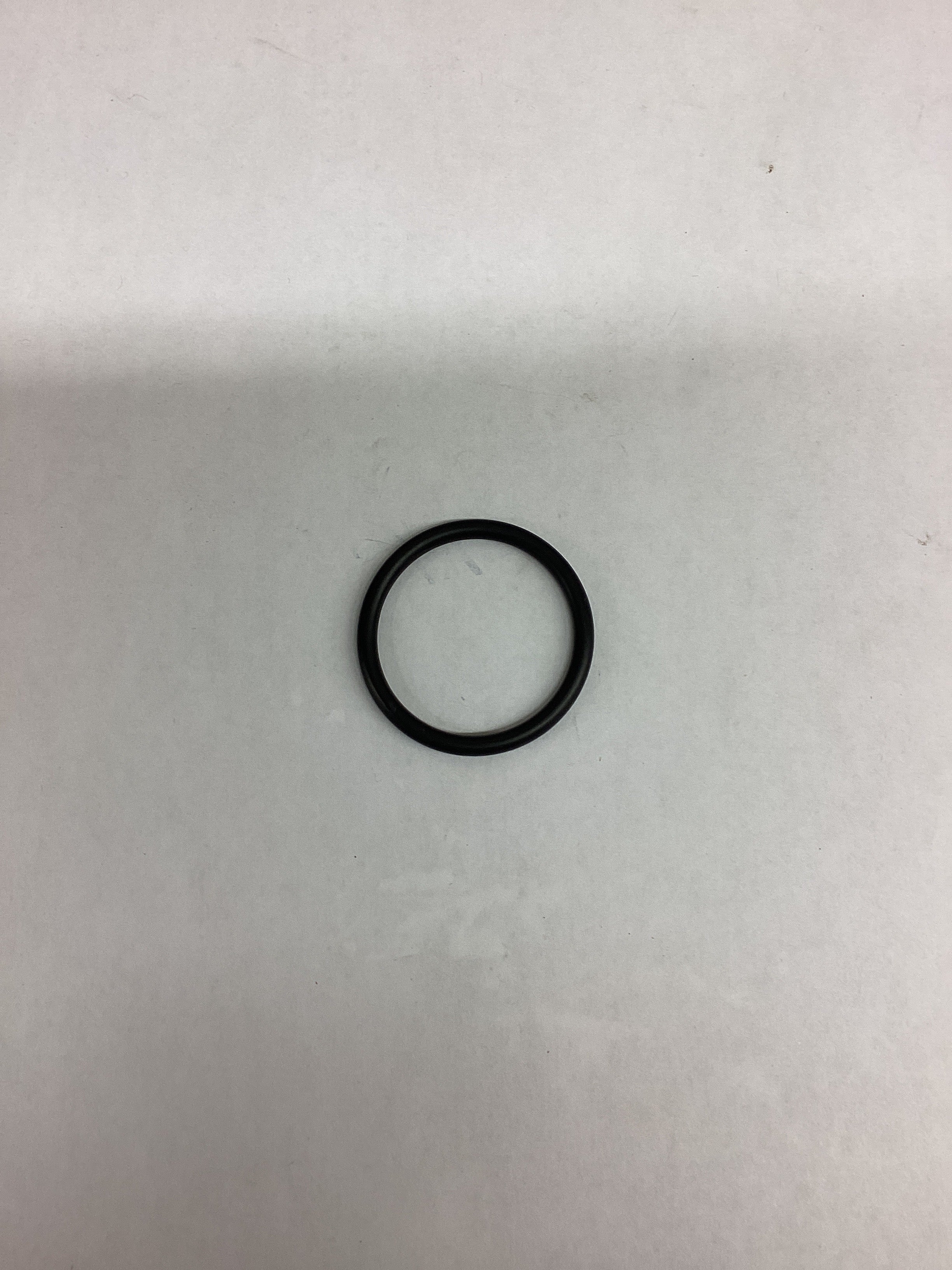 O-RING P/N 307239