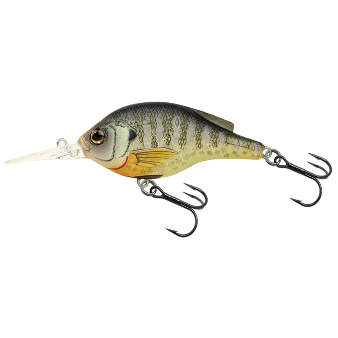Sunfish Crankbait Medium Dive