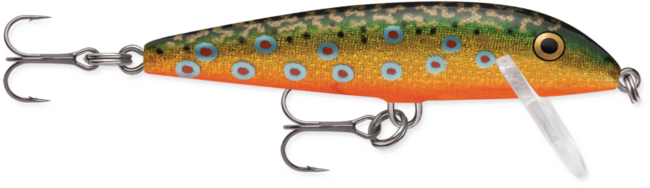Rapala CountDown Lure | Sinking