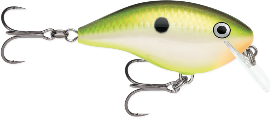 Rapala Ott's Garage Big Rocco