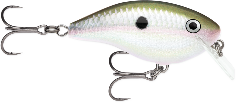 Rapala Ott's Garage Big Rocco
