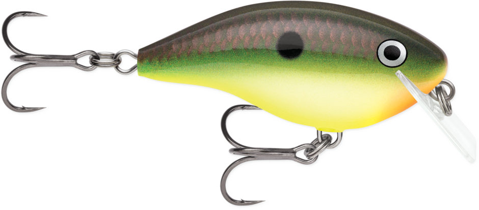 Rapala Ott's Garage Big Rocco